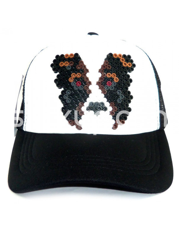 Gorra Sttikup Border Collie 3D Gorra Sttikup Border Collie 3D