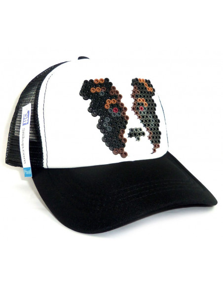 Gorra Sttikup Border Collie 3D