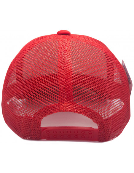 Gorra Flash Sttikup 3D niño